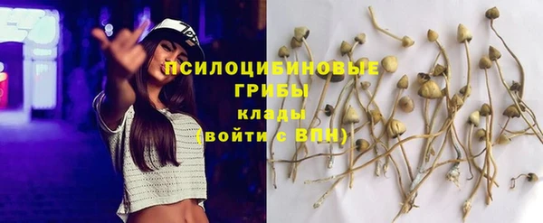 Альфа ПВП Инта