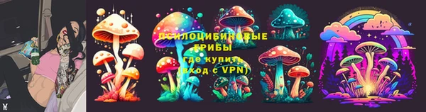 Альфа ПВП Инта