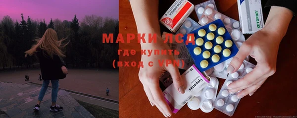 мяу мяу мука Инсар