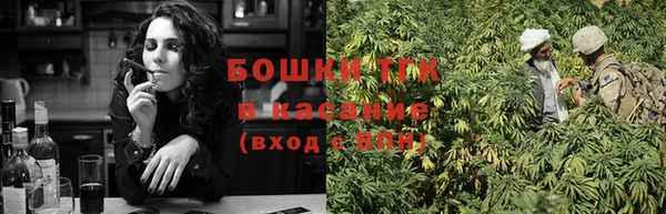 Альфа ПВП Инта
