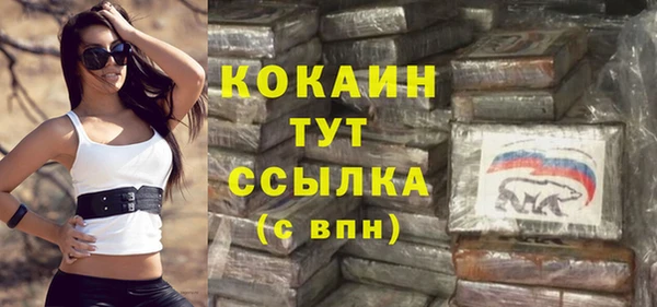мяу мяу мука Инсар