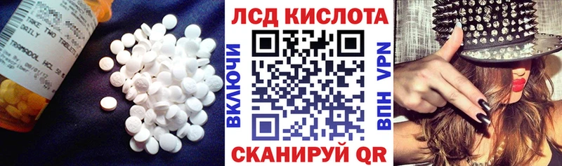 ЛСД экстази ecstasy  Купить  Олонец 
